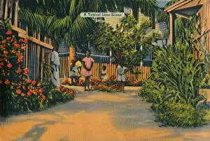 Key West Gallery: A Typical Lane Scene, c1940s