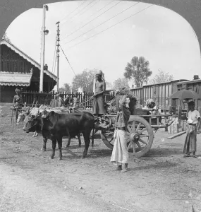 Sagaing Prints: Typical railway station, Katha, Burma, 1908. Artist: Stereo Travel Co