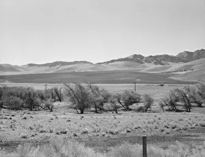 U. S. 99, on ridge over Tehachapi Mountains, 1939. Creator: Dorothea Lange