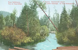 Timber Industry Prints: Udunga River. Udunginsky tract, 1904-1917. Creator: Unknown