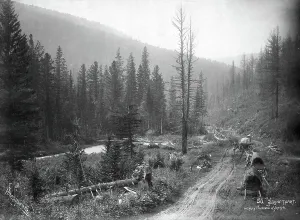 Mongolian Prints: Udungui trade route, between Mysovaya and Ulyatui