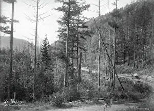 Mongolian Prints: Udungui trade route, between Udunga and Gujirka