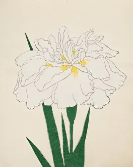 Clump Prints: Ujaku-No-Nagisa, No. 61, 1890, (colour woodblock print)
