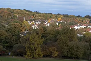 UK, London, Hampstead Heath, 2009. Creator: Ethel Davies