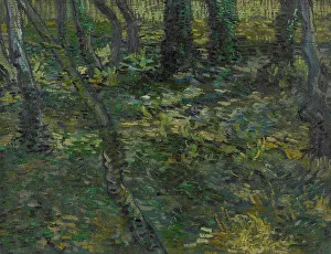 Van Gogh Museum Prints: Undergrowth, 1889. Creator: Gogh, Vincent, van (1853-1890)