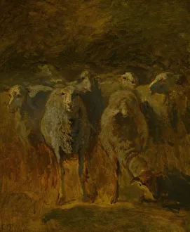 Unfinished Study of Sheep, c. 1850. Creator: Constant Troyon Unfinished Study of Sheep, c. 1850. Creator: Constant Troyon