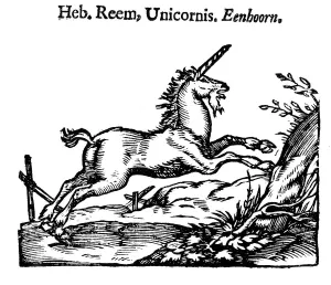 Unicorn, 1644