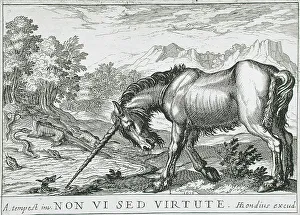 Unicorn Prints: A Unicorn Chasing Lizards from a Pond, 1610. Creator: Hendrick Hondius I