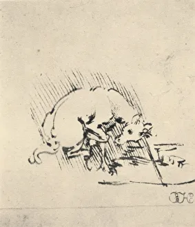 Bending Forwards Gallery: A Unicorn Dipping Its Horn into the Water, c1480 (1945). Artist: Leonardo da Vinci