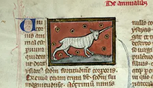 Book Art Prints: Unicorn (Initial). Liber de natura rerum, 1285-1295. Creator: Anonymous