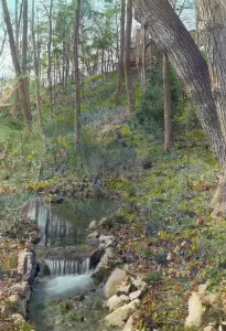 Unidentified garden, c1920. Creator: Frances Benjamin Johnston