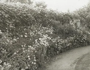 Herbaceous Border Prints: Unidentified house and garden, between 1910 and 1935. Creator: Frances Benjamin Johnston