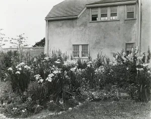 Flower Beds Prints: Unidentified house and garden, c1924. Creator: Frances Benjamin Johnston