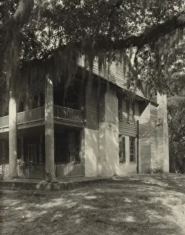 Tillandsia Usneoides Prints: Unidentified house, Natchez vic