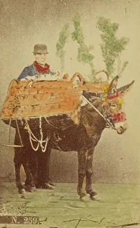 Baskets Prints: Unidentified man with mule carrying baskets of food, 1870s. Creator: Marittima