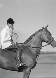 Riding Crop Prints: Unidentified person on a horse, between 1911 and 1942. Creator: Arnold Genthe