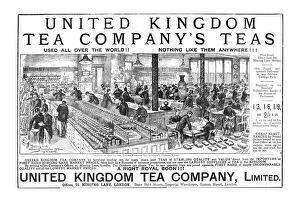 Factory Worker Gallery: United Kingdom Tea Companys Teas; One of the Tasting Room s, 1890. Creator: Unknown