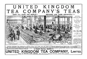 Factory Workers Prints: United Kingdom Tea Company's Teas; One of the Tasting Room's, 1890