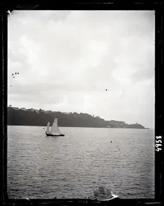 United States Fish Commission Steamer Albatross