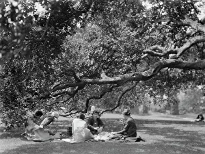 University Of California Prints: University of California at Berkeley views, 1927 Creator: Arnold Genthe