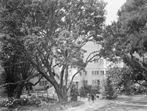 University of California at Berkeley views, 1927 Creator: Arnold Genthe