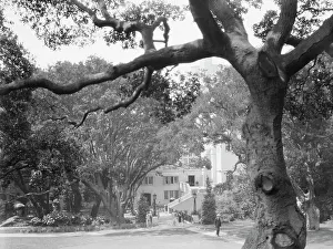 University of California at Berkeley views, 1927 Creator: Arnold Genthe