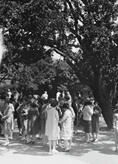 University of California at Berkeley views, 1927 Creator: Arnold Genthe