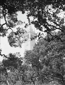 University of California at Berkeley views, 1927 Creator: Arnold Genthe