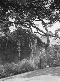 University of California at Berkeley views, 1927 Creator: Arnold Genthe
