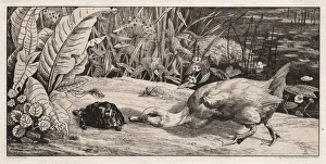 Chevalier Prints: The Unknown, 1862. Creator: Felix Bracquemond (French, 1833-1914);A. Cadart & F
