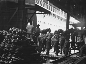 Banana Prints: Unloading bananas, New Orleans, between 1920 and 1926. Creator: Arnold Genthe