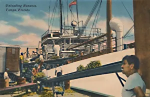 Tampa Gallery: Unloading Bananas, Tampa, Florida, c1940s