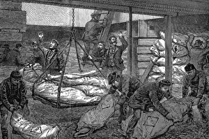 Unloading frozen meat from Australia, South West India Dock, Millwall, London, 1881. Artist: Unknown Unloading frozen meat from Australia, South West India Dock, Millwall, London, 1881. Artist: Unknown