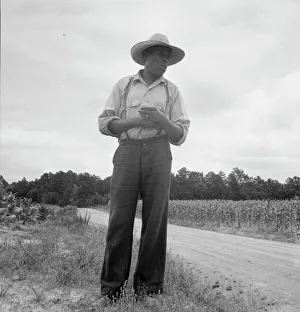 Sweet Corn Prints: Untitled, 1935-1942. [African-American man near a field of corn]. Creator: Unknown