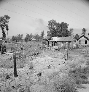 Timber Gallery: Untitled, 1935-1942. [Rural smallholding]. Creator: Unknown