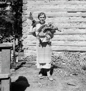 Cabin Gallery: Untitled, 1935-1942. [Woman with tobacco leaves]. Creator: Unknown