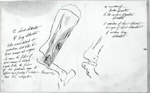 Thomas Eakins Gallery: (Untitled) (Anatomical Study Of Bones), 1878. Creator: Thomas Eakins