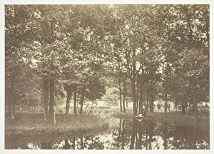 Untitled, c. 1850. [Trees near water in the Bois de Boulogne, a park in Paris]