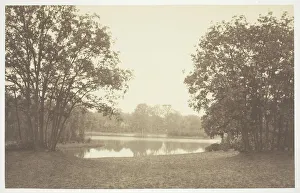 Untitled, c. 1850. [Trees near water in the Bois de Boulogne, a park in Paris]