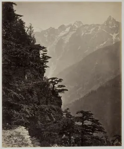 Mountain Path Prints: Untitled [hillside and mountains], c. 1865. Creator: Samuel Bourne