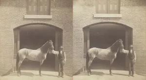 Images Dated 18th October 2021: Untitled, [horse and groom], 1875 / 99. Creator: Unknown