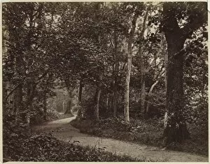 Albumen Print From Wet Collodion Negative Collection: Untitled (Landscape), early 1860s. Creator: Unidentified Photographer