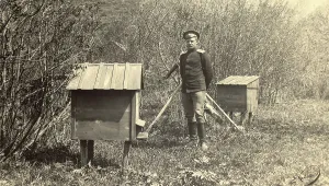 Beehive Prints: Untitled Photograph, 1909. Creator: Nikolai Georgievich Katanaev