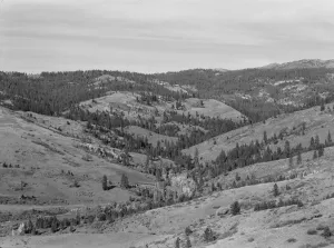 Upper end of Squaw Creek Valley... Ola self-help sawmill co-op, Gem County, Idaho, 1939. Creator: Dorothea Lange