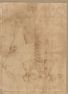Battista Franco Prints: Upper Half of Skeleton from the Back, early 1540s. Creator: Battista Franco (Italian, c