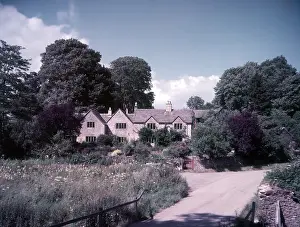 Wild Flower Prints: Upper Slaughter, Gloucestershire, c1955. Creator: Arthur Charles Kirby Ware