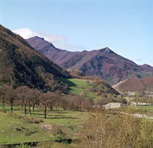 Sansepolcro Prints: The upper Tiber valley above Sansepolcro