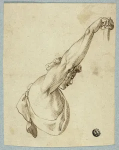 Torso Prints: Upper Torso with Upstretched Arms, n. d. Creator: Unknown