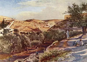 Brook Collection: The Upper Valley of the Kidron Looking South, 1902. Creator: John Fulleylove