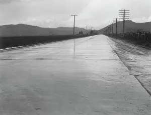 Telegraph Poles Prints: U.S. 101 near San Juan Bautista, California, 1939. Creator: Dorothea Lange